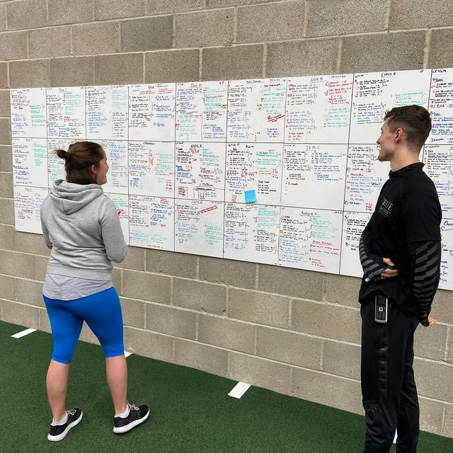 True Coach Programmes 